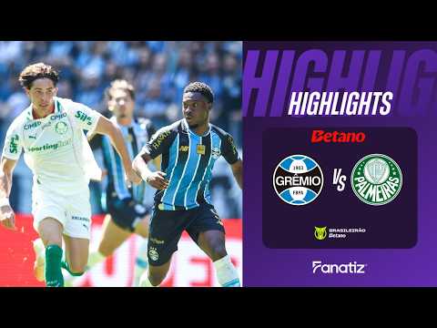 Gremio vs Palmeiras highlight