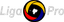 Liga Pro Serie B