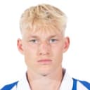 N. De Ridder