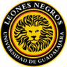 Leones Negros