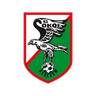 Sokół Kleczew