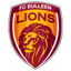 Bulleen Lions