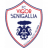 Vigor Senigallia