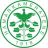 HamKam U19