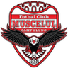 Muscelul Câmpulung Elite