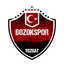 Yozgat Bld Bozokspor