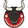 Lubbock Matadors