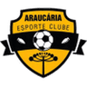 Araucaria U20