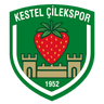 Kestel Çilek