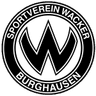Wacker Burghausen U19