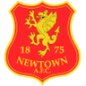 Newtown AFC