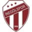 İnegölspor