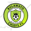Bulawayo Chiefs
