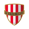Sokol Brozany
