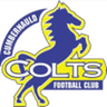 Cumbernauld Colts