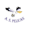 Pélican